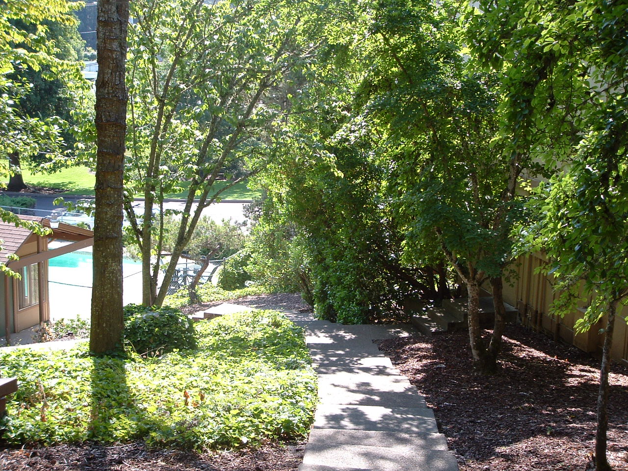 DSCF0014a.JPG